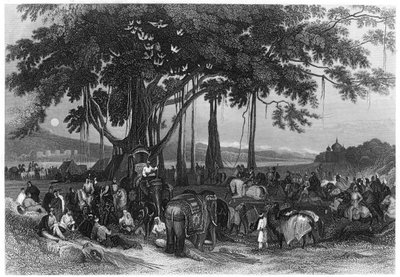 The arrival of the contingent force of the Sikh irregular cavalry, India, c1860 by Unbekannt