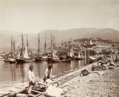 The Construction of a Pier in Yalta, Crimea, Late 19th Century by Unbekannt