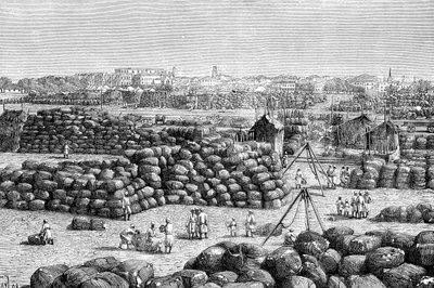 The cotton market at Bombay, India by Unbekannt