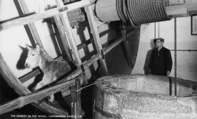The donkey in the wheel, Carisbrooke Castle, near Newport, Isle of Wight, 20th century by Unbekannt