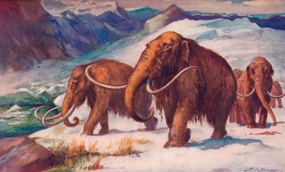 The early Ice Age, when mammoths roamed the Earth and Man was arising, 1907 by Unbekannt