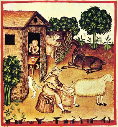 The Production of Cheese (detail) by Unbekannt