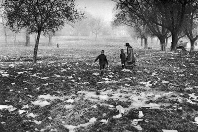 The Rubbish Left on Hampstead Heath after a Bank Holiday, London, 1926-1927 by Unbekannt