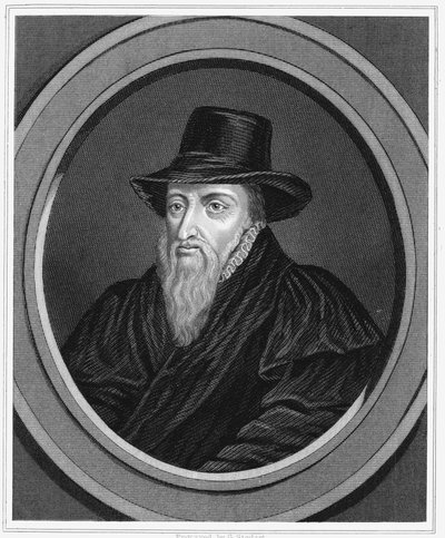 Theodore Beza, French Religious Reformer by Unbekannt