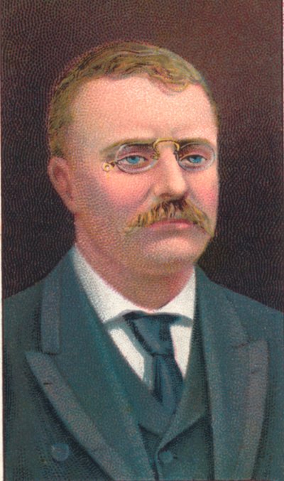Theodore Roosevelt 1858-1919, 26th President of the United States by Unbekannt