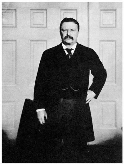 Theodore Roosevelt, 26th President of the United States by Unbekannt