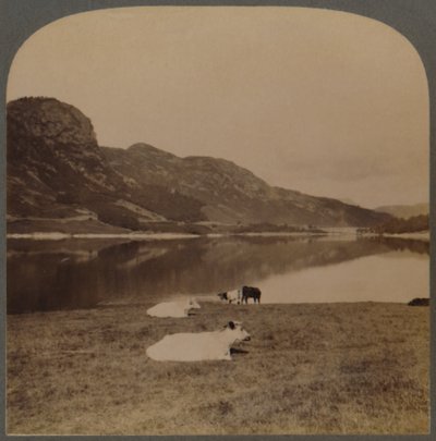 Thirlmere, a Lake Reservoir, the Water-Supply of Manchester 96 Miles Distant, Lake District, England by Unbekannt
