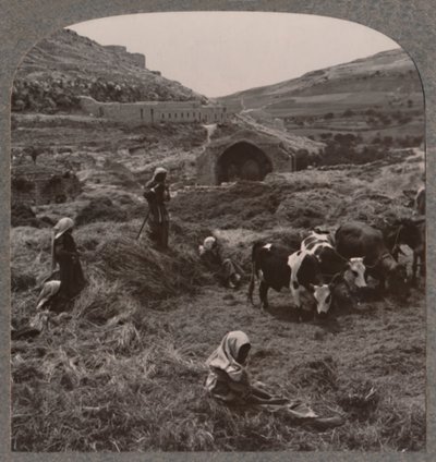 Threshing grain near Jacob