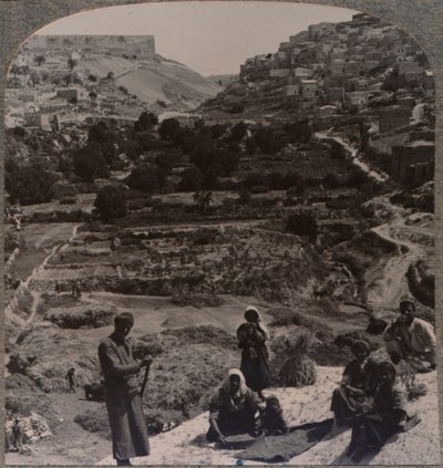 Threshing on roof, overlooking the valley of Kedron by Unbekannt