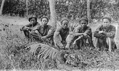 Tiger Hunters, Tonkin, Vietnam by Unbekannt