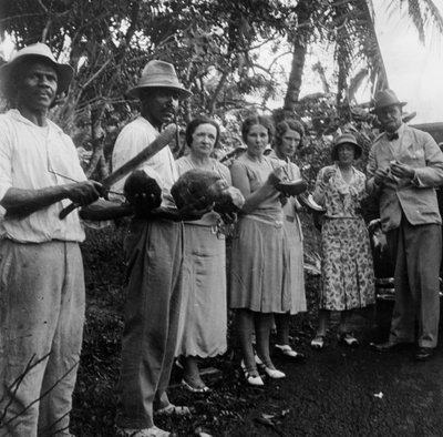 Tourists During a Halt by the Wayside, St Vincent by Unbekannt