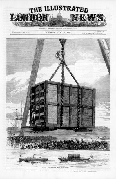 Transporting Jumbo the African Elephant to America by Unbekannt