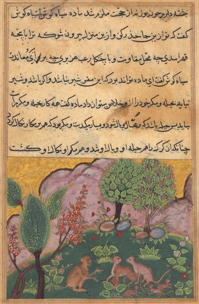 Tuti-Nama Tales of a Parrot: Tale XXIX by Unbekannt