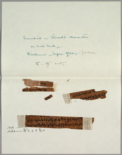 Two Fragments of Bark with Sanskrit, before 1700 by Unbekannt