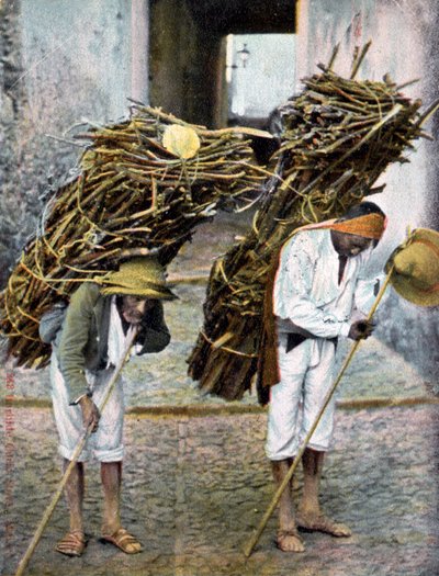 Two men carrying bundles of wood on their backs, Mexico by Unbekannt