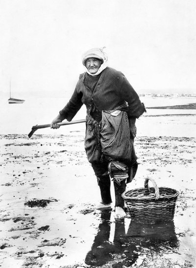 United Kingdom: An Old Lady Collecting Cockles on the Sea Shore, c. 1890 by Unbekannt
