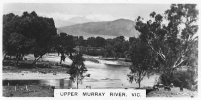 Upper Murray River, Victoria, Australia, 1928 by Unbekannt