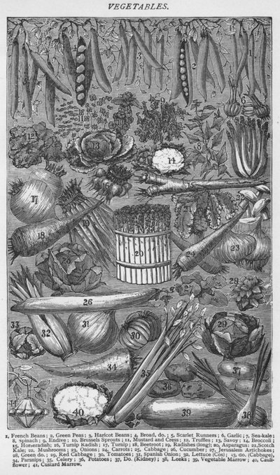 Vegetables, 1907 by Unbekannt