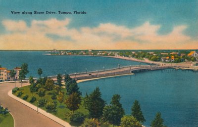 View Along Shore Drive, Tampa, Florida, c. 1940s by Unbekannt