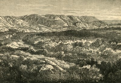 View in the Valley of the Jordan, 1890 by Unbekannt