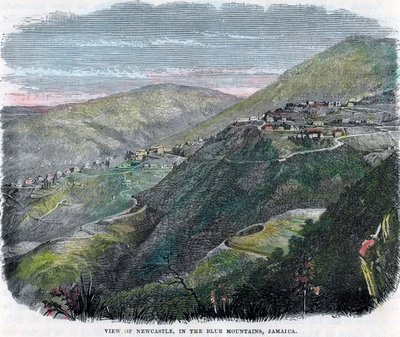 View of Newcastle, in the Blue Mountains, Jamaica by Unbekannt