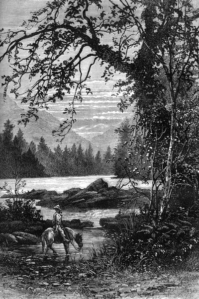 View of North Carolina, late 18th century by Unbekannt