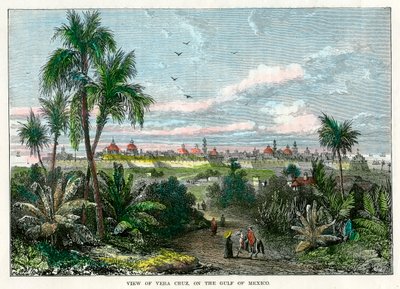 View of Vera Cruz, on the Gulf of Mexico, Mexico by Unbekannt