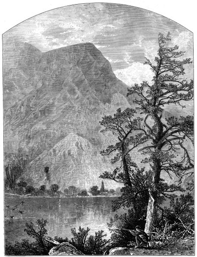 View of a Spur of the Blue Mountains, Delaware Water Gap, New Jersey, USA by Unbekannt