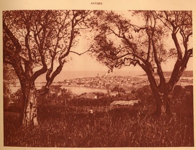View Through the Olive Trees to Antibes by Unbekannt