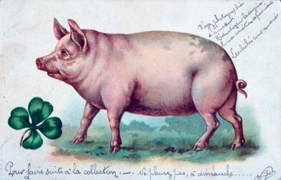 Vintage French Postcard by Unbekannt
