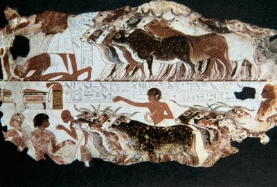 Wall painting from the tomb of Nebarunun, Thebes, Egypt by Unbekannt