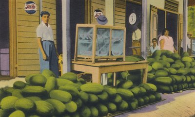 Watermelons For Sale, Trinidad, B.W.I. by Unbekannt