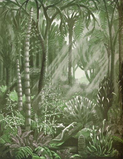What the Mighty Coal Forests Were Like by Unbekannt