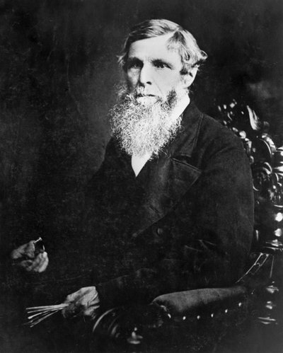William Froude, English engineer and naval architect, c 1870 by Unbekannt