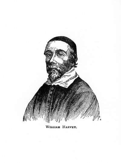 William Harvey, 17th century English physician by Unbekannt