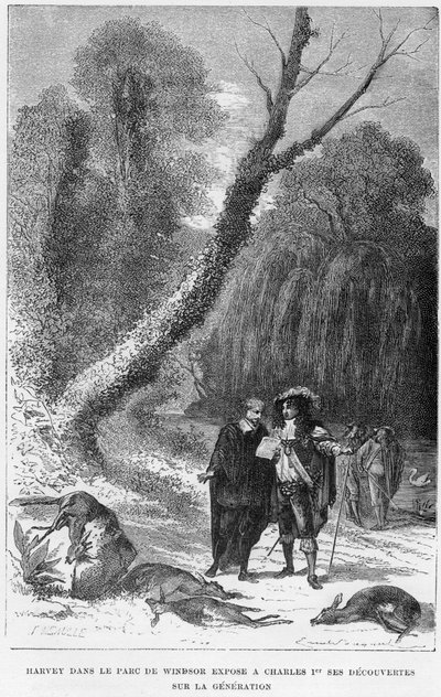 William Harvey, English physician, in Windsor Park by Unbekannt