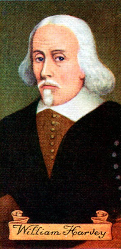 William Harvey, Taken from a Series of Cigarette Cards, 1935 by Unbekannt