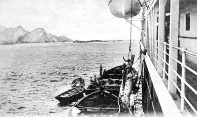 Winching a Cow onto a Boat off the Coast of Chile, c. 1900s by Unbekannt