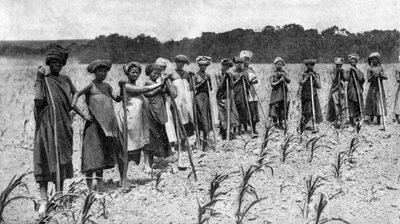 Women Hoeing a Field of Maize, South Africa by Unbekannt