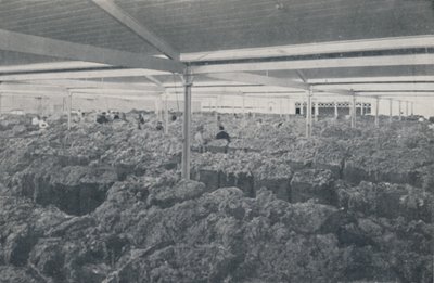 Wool for Sale in a Melbourne Showroom by Unbekannt