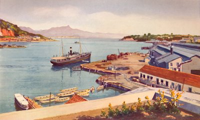 Workshops of the Lloyd Brasileiro Steamship Company, 1914 by Unbekannt