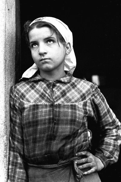 Young girl working as olives picker in Calabria, Italy, c.1955 by Unbekannt