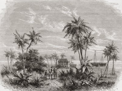 David Livingstone