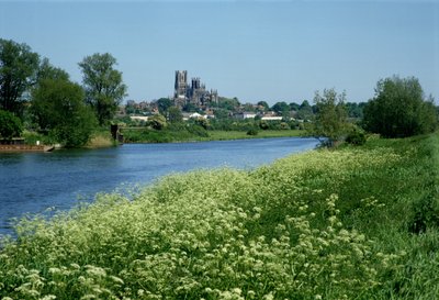 Ely Cathedral and the River Ouse by Unbekannt Unbekannt