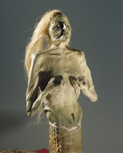 Half-Woman, Half-Snake Creature, Spawn of Melusine, 1900 by Unbekannt Unbekannt