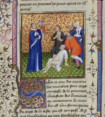 Ms.251 f.54v A Doctor with His Patients, from Des Proprietez des Choses, c.1415 by Unbekannt Unbekannt