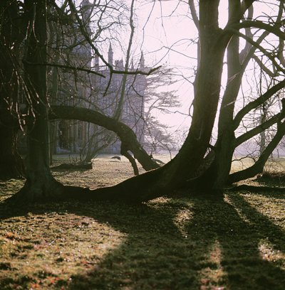 View of the North Front, Corsham Court, Wiltshire by Unbekannt Unbekannt
