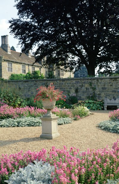 View of the garden by Unbekannt Unbekannt