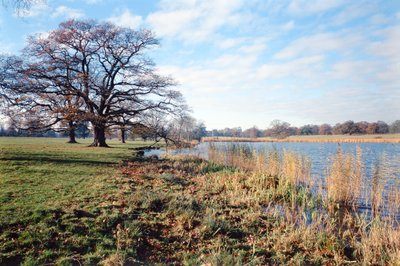 View of the Lake, Corsham Court, Wiltshire by Unbekannt Unbekannt