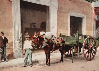 A Mule Cart in Havana led by a vendor by Unbekannt